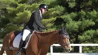 Rebecca Holcomb & Marvelous Miss Molly Hagyard Midsouth Team Challenge 2025