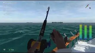 Fishing Planet - Young Black Marlin