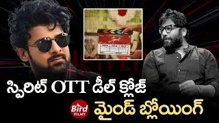 స్పిరిట్ OTT డీల్ క్లోజ్ మైండ్ బ్లోయింగ్ | Sandeep Vanga Spirit Movie OTT Deal | Bird Filmy |