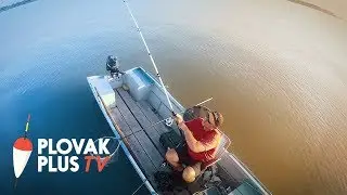 Feeder ribolov babu&scaron;ke - Dunav, Dubovac