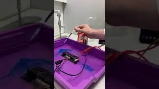 Video magnetohydrodynamica and phosphate-buffered saline (PBS)