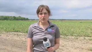 Ariel Salk live at helicopter crash in West Baton Rouge