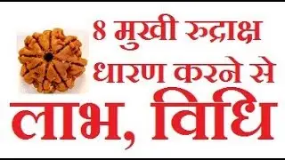 8 मुखी रूद्राक्ष से लाभ, नियम तथा धारण विधि, 8 faced Rudraksha importance, for Puja Call- 9811649808