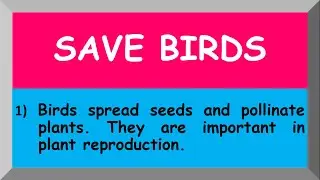 Few Lines on Save Birds in English🙏 | 10 Lines on Save Birds🙏| in English