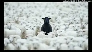 (2026) AK BANDAMONT X PUNCHMADE DEV TYPE BEAT &lsquo;&rsquo;BLACK SHEEP&rsquo;&rsquo; (Prod WhoIzRam)
