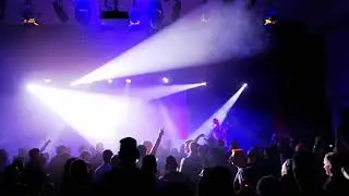 Cat Rapes Dog - Moosehair Underwear WGT 2019 Haus Leipzig
