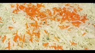 Homemade Sauerkraut