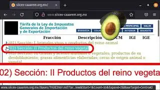 La tarifa arancelaria y su ubicaci&oacute;n.