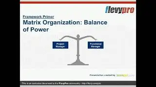 Matrix Organization: Balance of Power