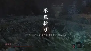Sekiro: Shadows Die Twice | Inner Isshin No Damage