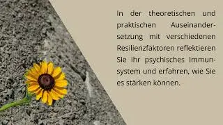 8 Wochen Resilienz Training live online von www.businessbar.de