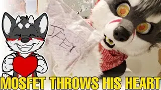 When you love someone - tell them the dumb furry way
