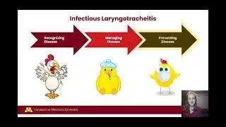 Week 3 - Small Flock and Backyard Poultry: Series on Respiratory Diseases
