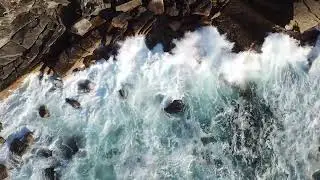 Ocean nature video No copyright