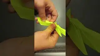 An origami dragon is born