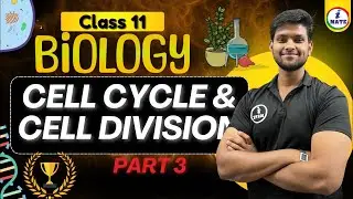 Cell cycle | Part 3 | Class 11 CBSE & ISC | NEET 2026