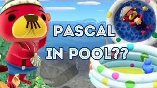 Making Pascal in Plastic Pool / Animal crossing Nintendo / Polymer clay
