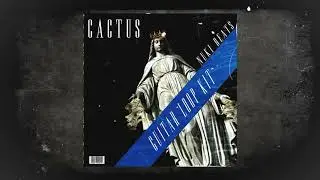 [FREE] Cactus Guitar Loop Kit(In style of Cubeatz,Frank Dukes,Pvlace) | Producer's Sundays