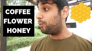 Experiencing COFFEE FLOWER HONEY For The Fist Time