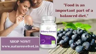 Health Benefits of Bilberry Extract From Nature's Velvet