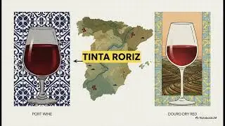 Tempranillo: Unlocking the Secrets of Spain's Noble Grape