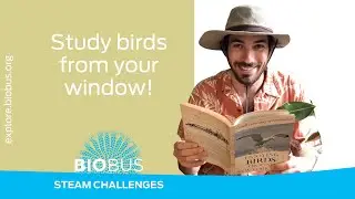 BioBus STEAM Challenges | Study birds from your window!