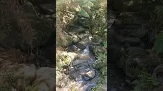 #explore #adventure #outdoors #melbourne #victoria #nature #date #couplegoals #hike #roadtrip