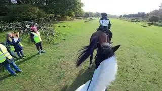 Cob chasing an ex-racer