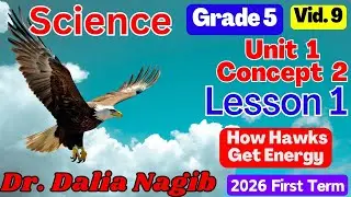 ساينس خامسة ابتدائى ترم اول 2026- 𝐒𝐜𝐢𝐞𝐧𝐜𝐞 𝐆𝐫𝐚𝐝𝐞 5 𝐂𝐨𝐧𝐜𝐞𝐩𝐭  2  𝐋𝐞𝐬𝐬𝐨𝐧 1