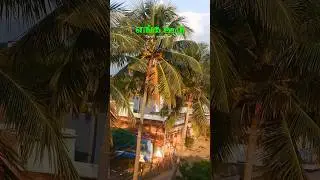👉🥰எங்க ஊரு🌴🏞️#தேனி #theni#cooking #shortsfeed #trend #foodie #village #minivlog #vlog #tamil #nature