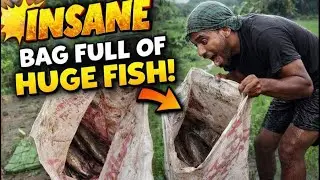 INSANE! Bag Full of HUGE Fish 😱 natfishingtips,villagelife,#fishinglovers #villagelife #fishingvideo
