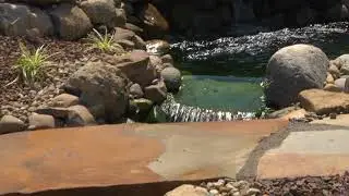 S6-E20 Creating a Rustic Hillside Landscape