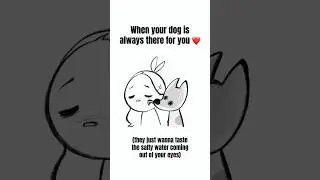 When Dogs lick your tears away