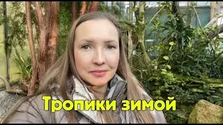 Прогулка по оранжерее Ботанического сада в Санкт-Петербурге
