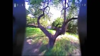Eachine V tail QX110 new demo fliight with more optimized settings (Courtesy Banggood)