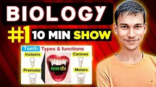 Biology | Human Teeth(मानव दांत) | Human Digestive System #AA Sir #DFYM #humanteeth #10minshow