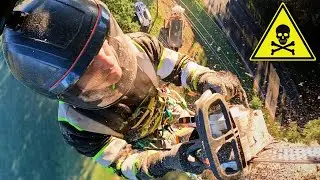 Climbing a Huge Broken Tree Before It Snaps In Half!