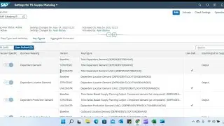 SAP IBP Settings for TS Supply Planning
