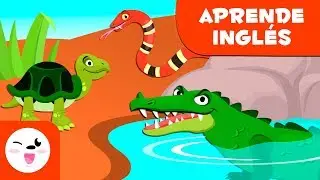 Los reptiles para ni&ntilde;os EN INGL&Eacute;S - Animales vertebrados - Ciencias naturales para ni&ntilde;os