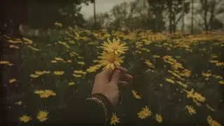 Jhol slow reverb 🎵 