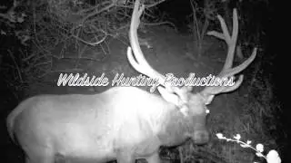 Wildside Hunting Productions Pre Season Scouting 2014