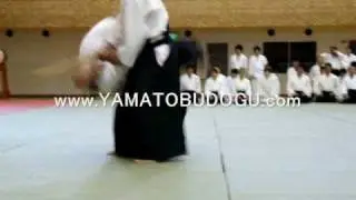 Aikido, Doshu Moriteru Ueshiba exhibition in Japan 2008