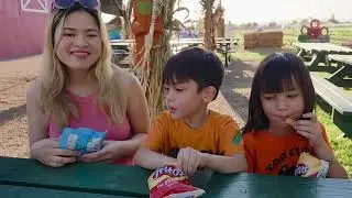 Pumpkin Patch - Tolmachoff Farms Glendale AZ 