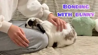 Teaching My Bunny Simple Tricks