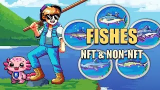 Fishing Frenzy | Everything About NFT & Non-NFT Fishes