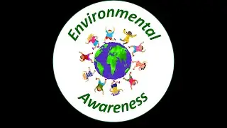 Green Insurance: Types, Advantages and Concerns (Audio Lesson)