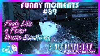 FUNNY MOMENTS #89 - FFXIV Is Like a Fever Dream Sometimes
