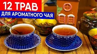 12 трав для ароматного чая