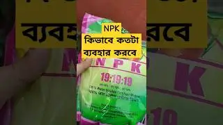 NPK kivabe Kotota use korte hoy | How to use npk 19 19 19