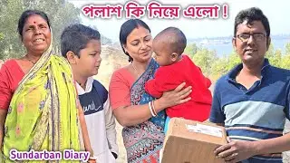 পলাশ কতো কিছু নিয়ে বাড়িতে আসলো! সকাল বেলা ভালো খবর দিলাম! Sundarban Diary 